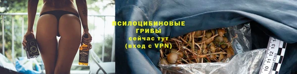 ешки Костерёво