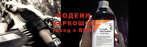 сатива Козловка