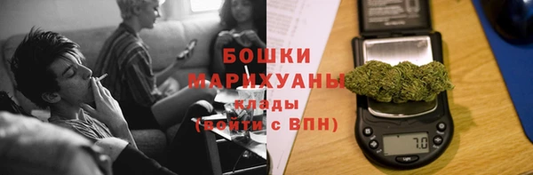 сатива Козловка