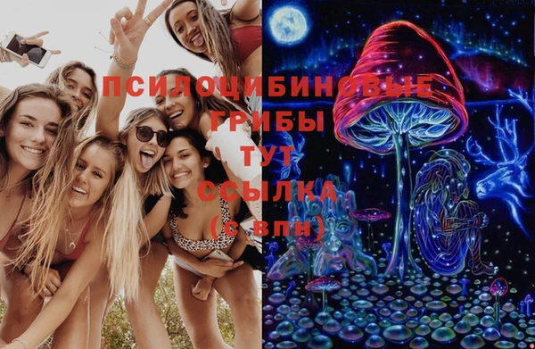 сатива Козловка
