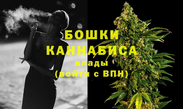 сатива Козловка