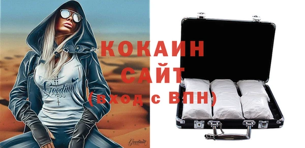 сатива Козловка