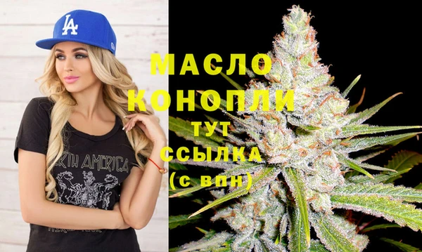 сатива Козловка