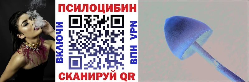 Псилоцибиновые грибы Psilocybine cubensis  Купить закладки  Бородино 
